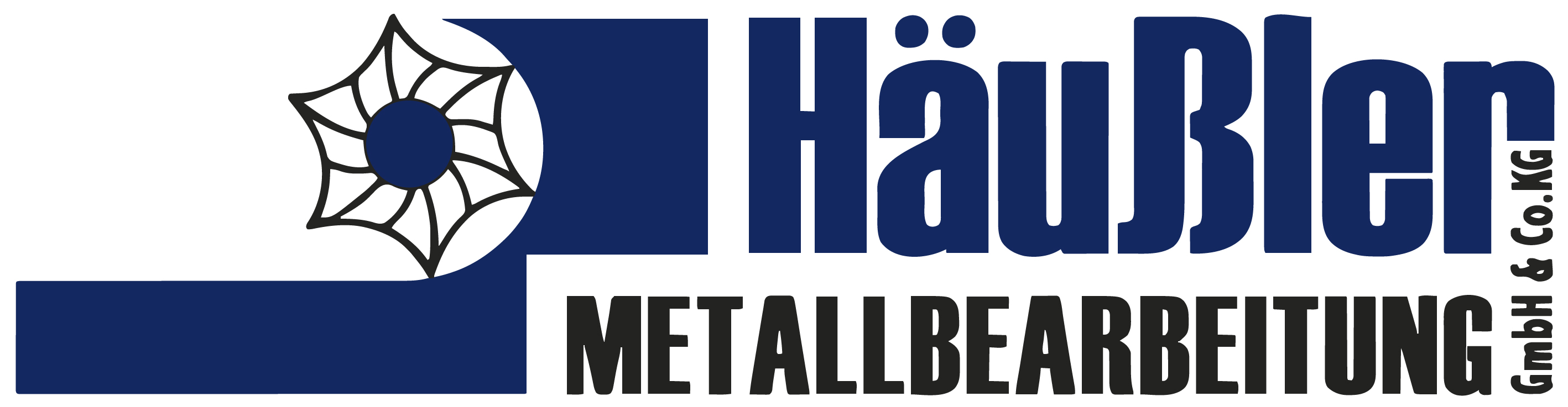 Referenzlogo 13